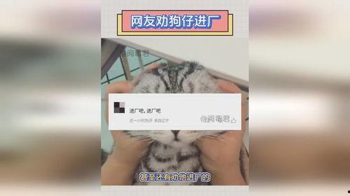 爆料明星进厂视频大全集,独家视频大全集幕后揭秘 第1张 爆料明星进厂视频大全集,独家视频大全集幕后揭秘 第1张